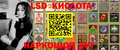 шишки Сланцы