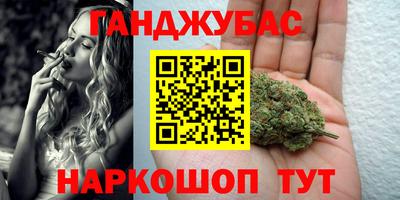шишки Сланцы