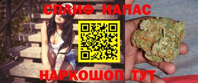индика Славянск-на-Кубани