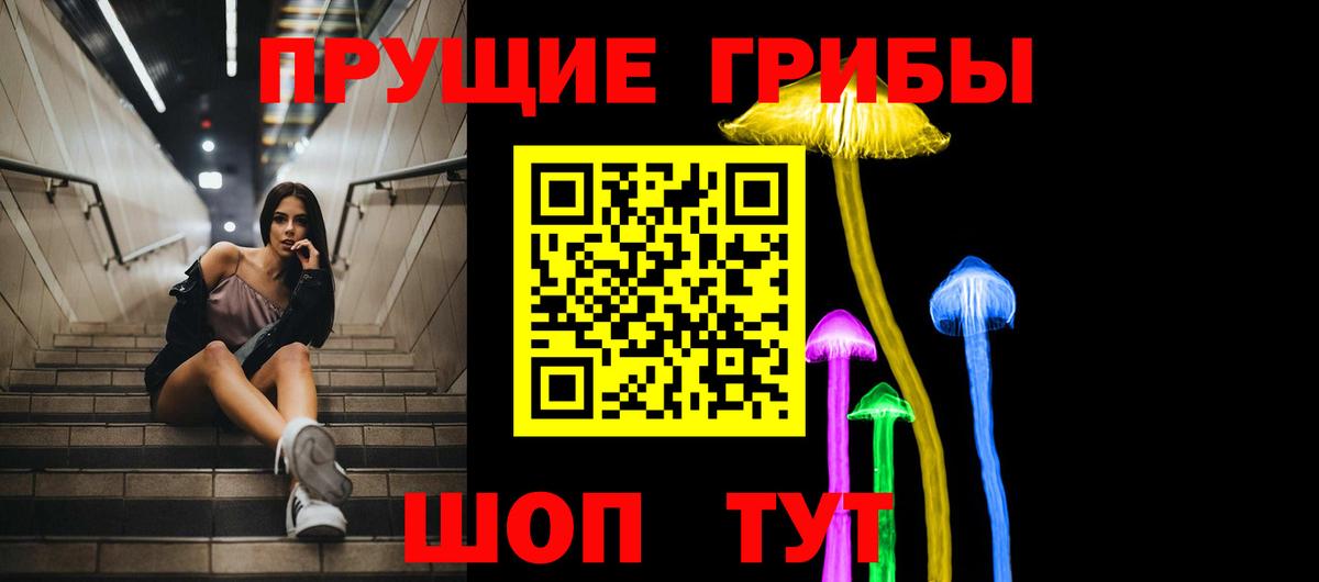 купить наркоту  Вход с VPN  Алапаевск  Псилоцибиновые грибы Magic Shrooms 